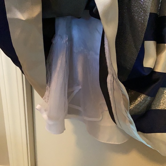 Jona Michelle Navy, Champagne & Dark Sparkly Striped Dress - Picture 5 of 7